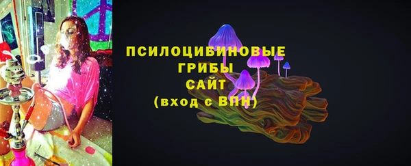 не бодяженный Ладушкин