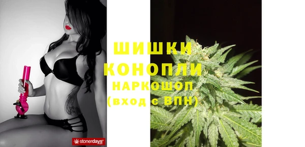 не бодяженный Ладушкин