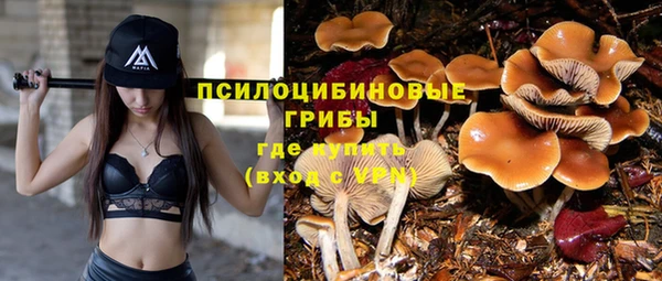 соль курить ск Лагань