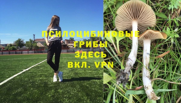 меф Лабытнанги
