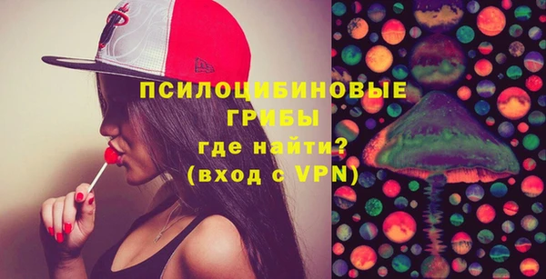 не бодяженный Ладушкин