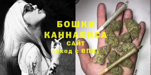 хмурый Каменка